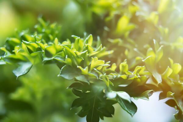 tile_fill_stacie-clark-jRQ4PiVMNrY-unsplash